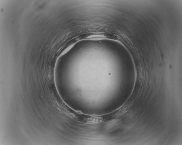 X0000056370077200508261414