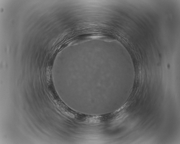 X0000056370078200508261414