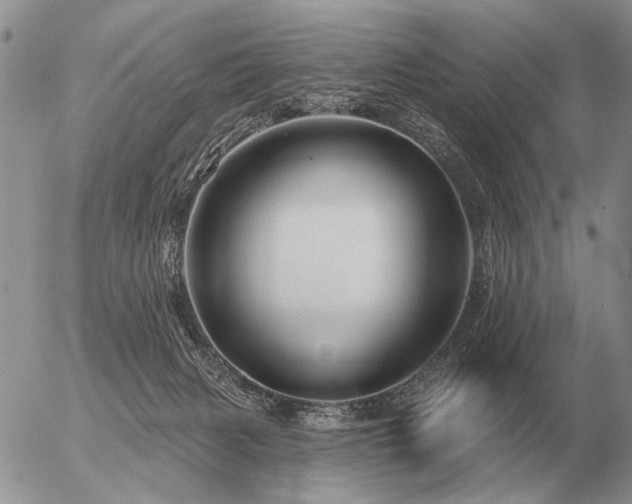 X0000056370079200508261414