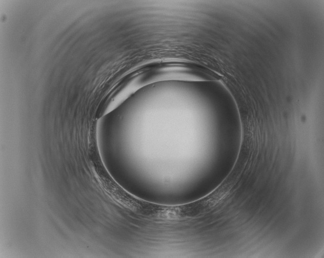 X0000056370080200508261414