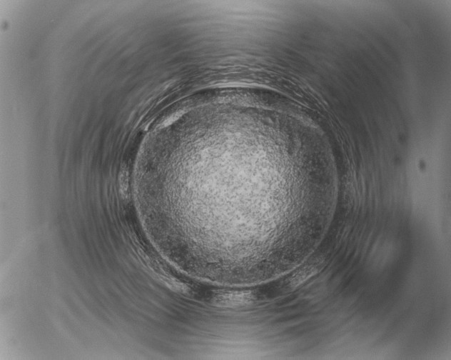 X0000056370081200508261414