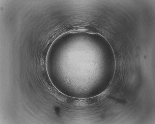 X0000056370082200508261414