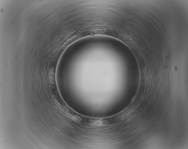 X0000056370083200508261414