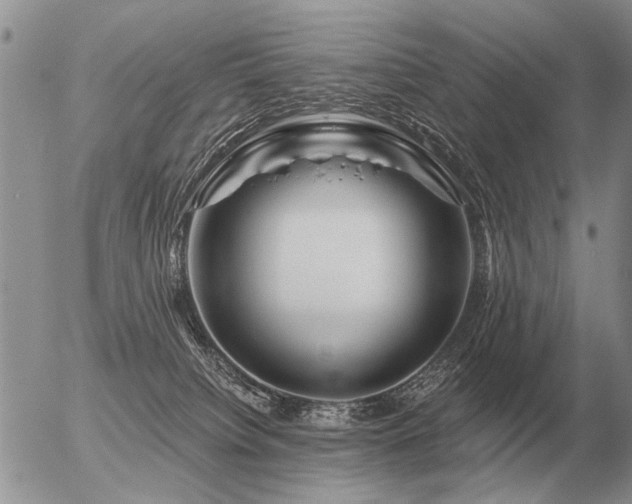 X0000056370084200508261414