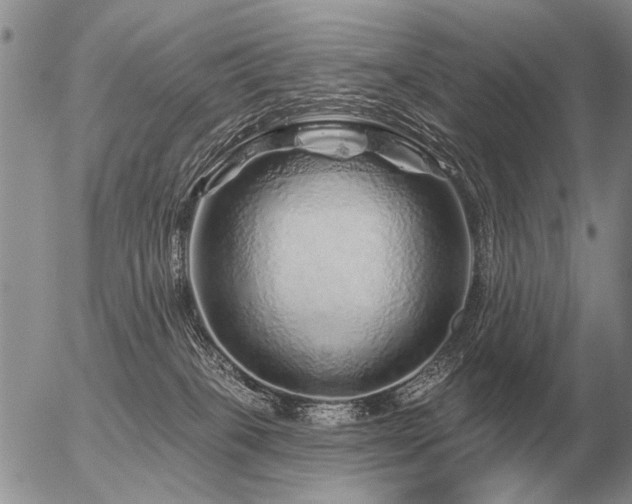 X0000056370085200508261414