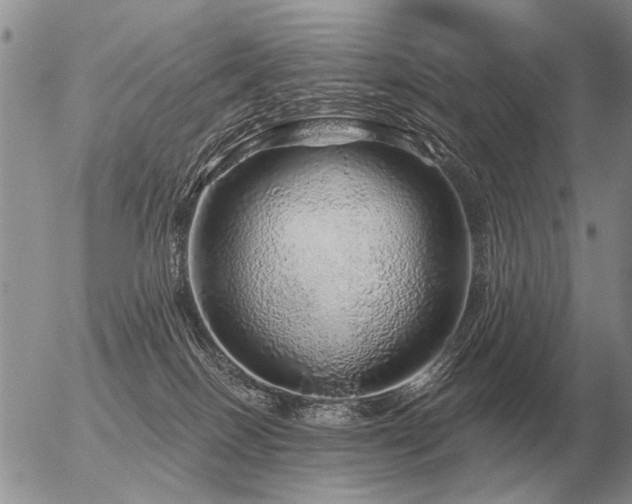 X0000056370086200508261414