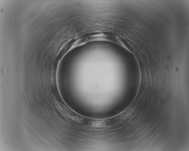 X0000056370088200508261414