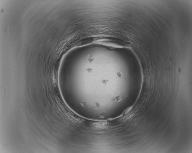 X0000056370089200508261414