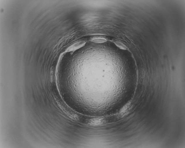 X0000056370090200508261414