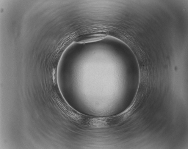 X0000056370094200508261414