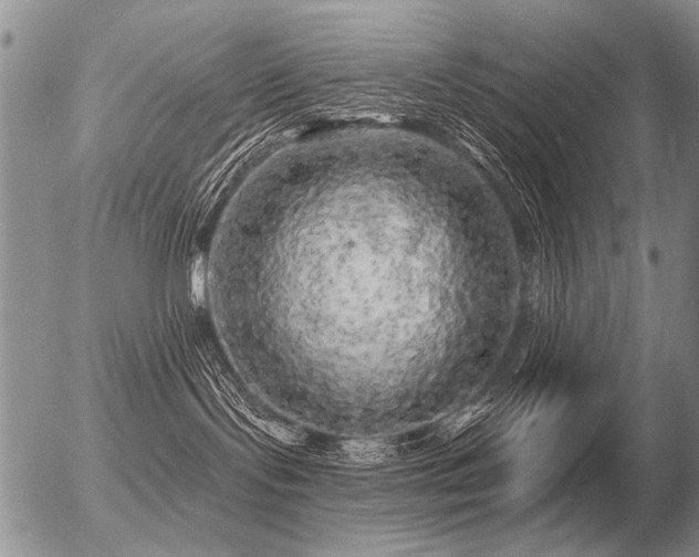 X0000056370095200508261414