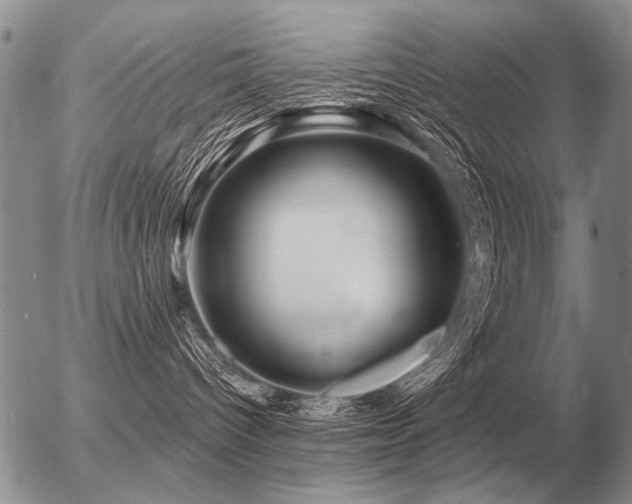 X0000056370096200508261414