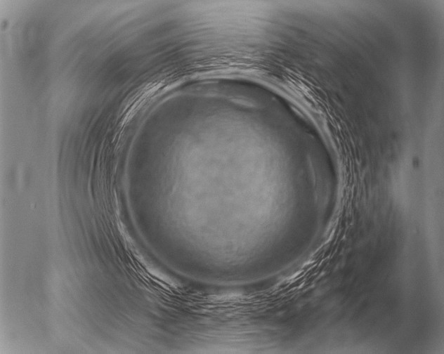 X0000056370097200508261413