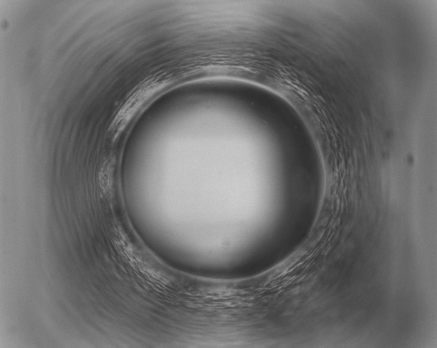 X0000056370098200508261413