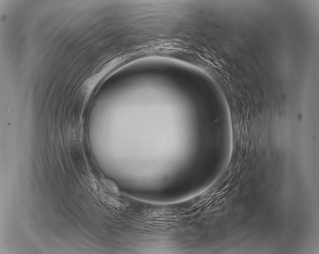 X0000056370100200508261413