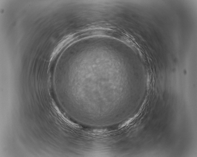 X0000056370101200508261413