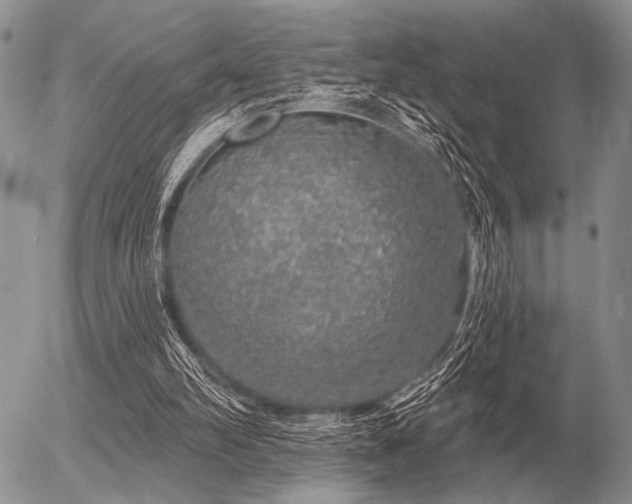 X0000056370102200508261413