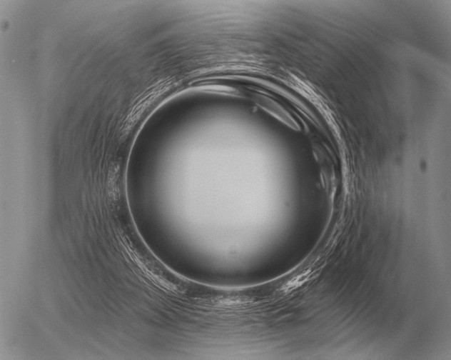 X0000056370105200508261413