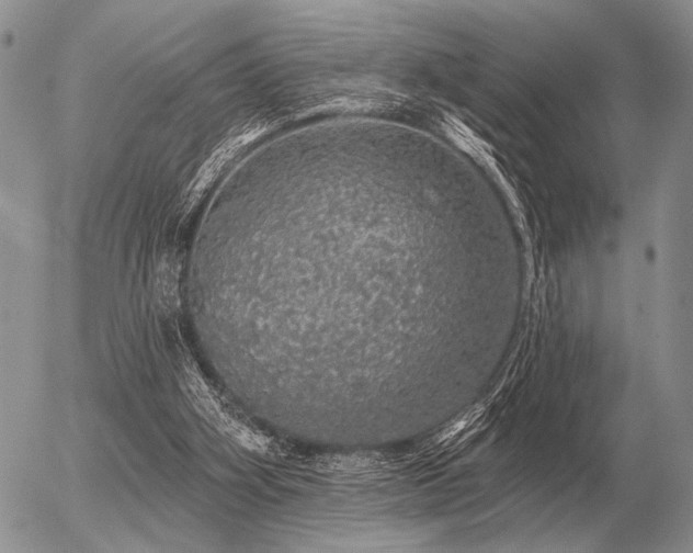 X0000056370106200508261413