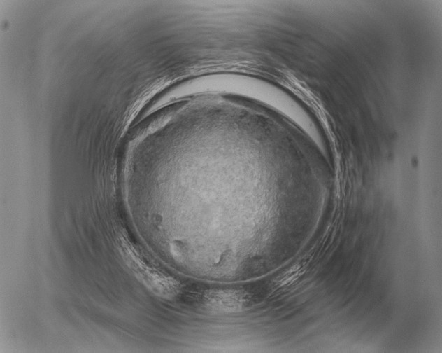 X0000056370107200508261413