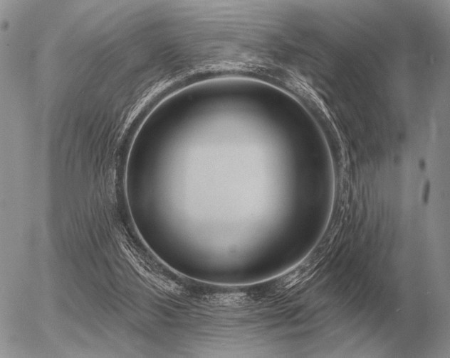 X0000056370108200508261413