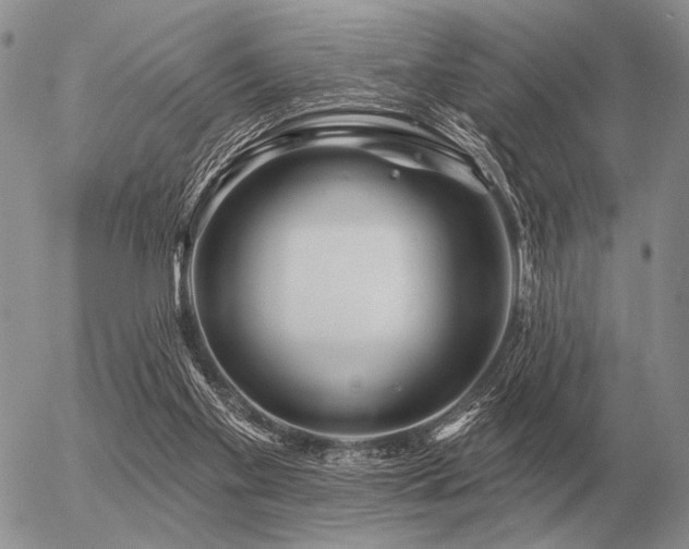 X0000056370109200508261413