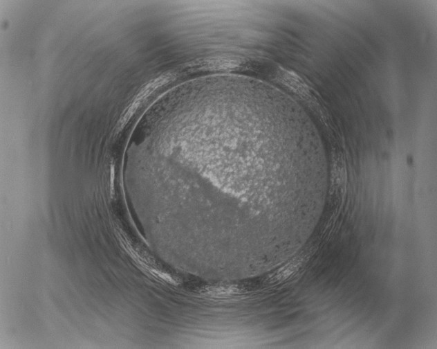 X0000056370110200508261413