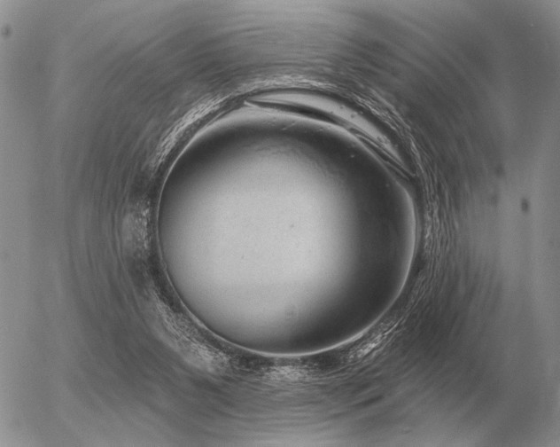 X0000056370111200508261413