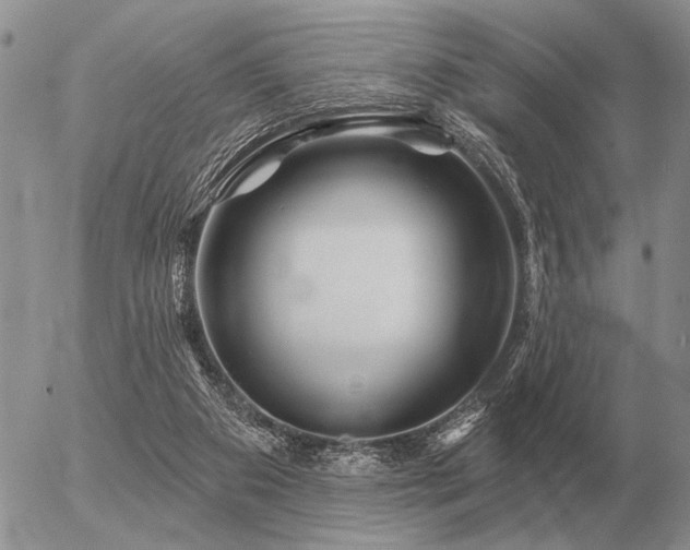 X0000056370113200508261413