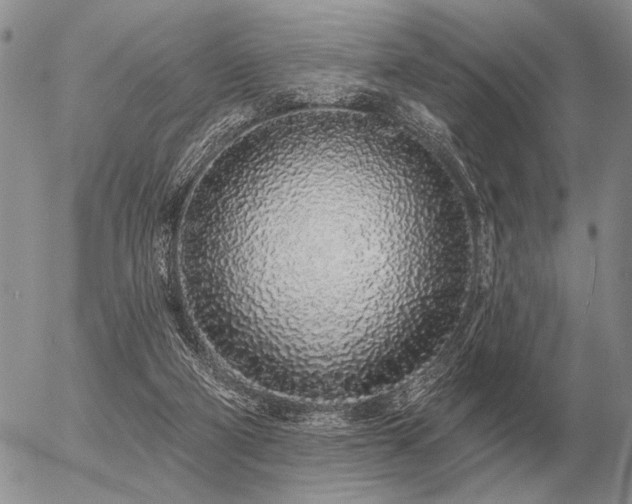 X0000056370114200508261413