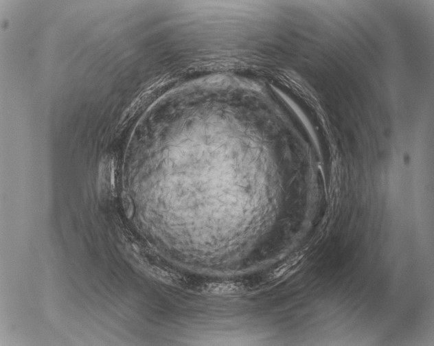 X0000056370115200508261413