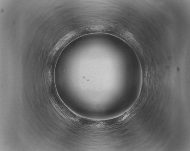 X0000056370116200508261413