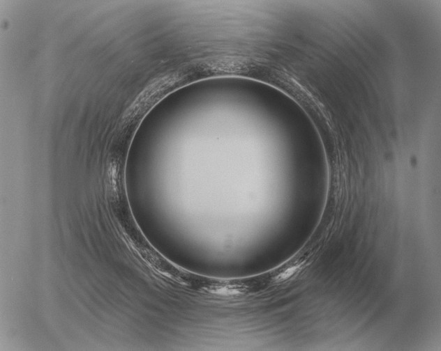 X0000056370117200508261413