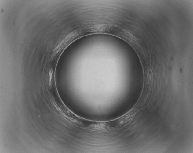 X0000056370118200508261413