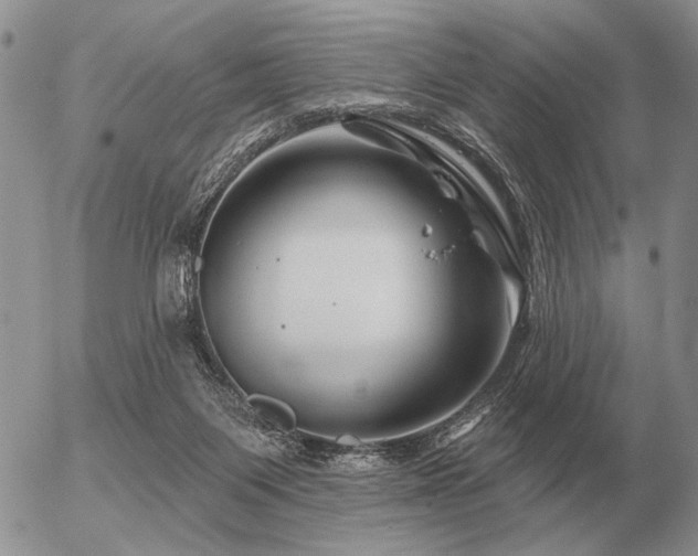 X0000056370119200508261413