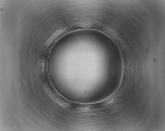 X0000056370120200508261413