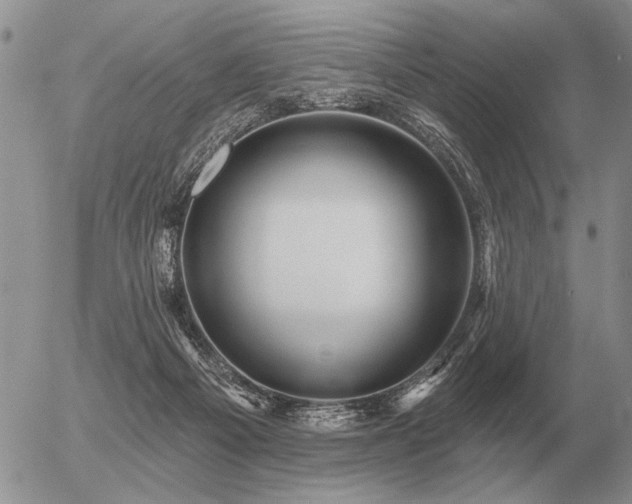 X0000056370121200508261413