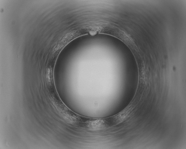 X0000056370122200508261413