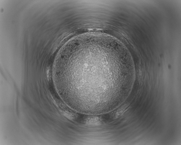 X0000056370123200508261413