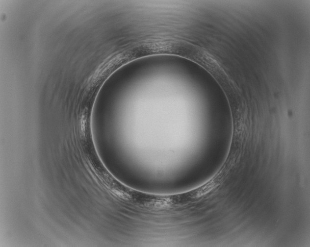 X0000056370124200508261413