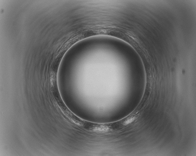 X0000056370125200508261413