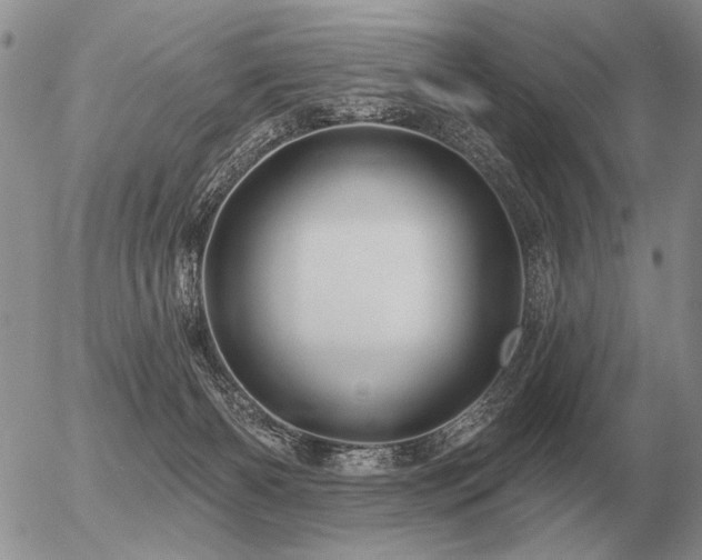 X0000056370126200508261413