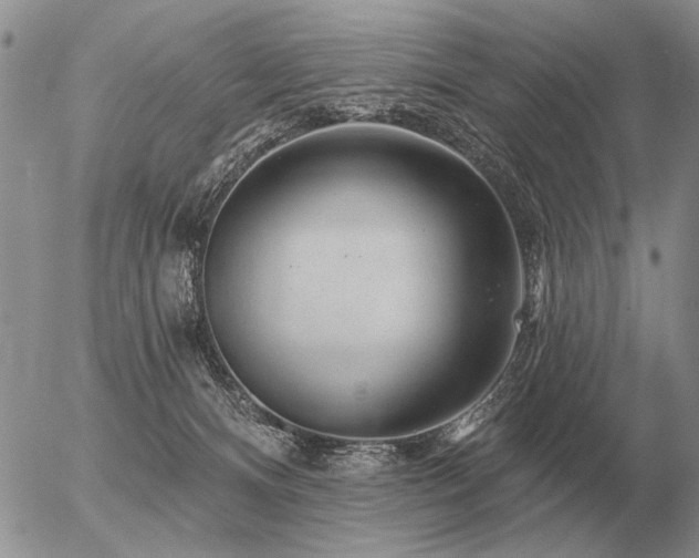 X0000056370128200508261413