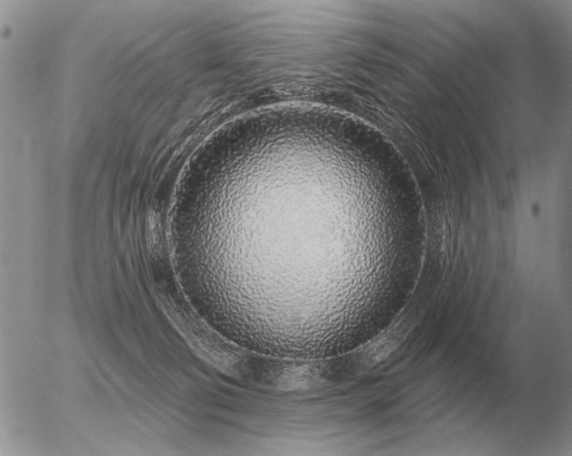 X0000056370130200508261413