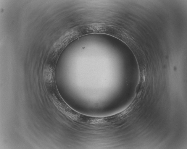 X0000056370132200508261413