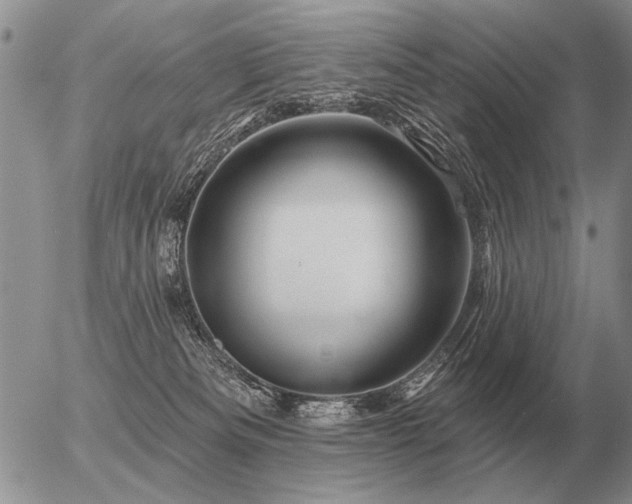 X0000056370133200508261413