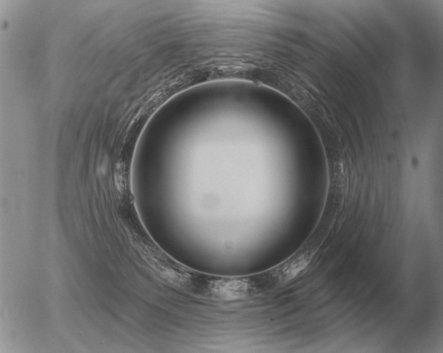 X0000056370135200508261413