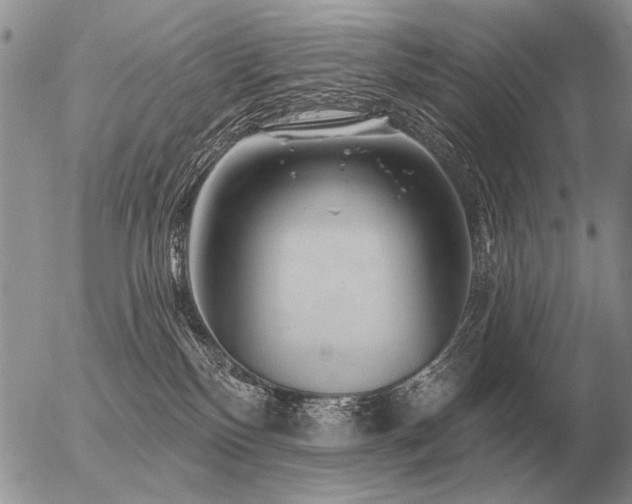 X0000056370136200508261413