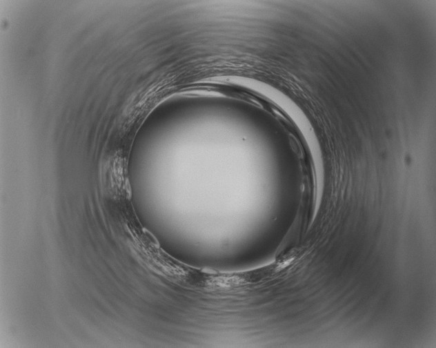 X0000056370137200508261413