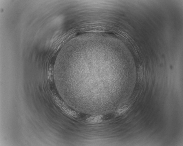 X0000056370138200508261413